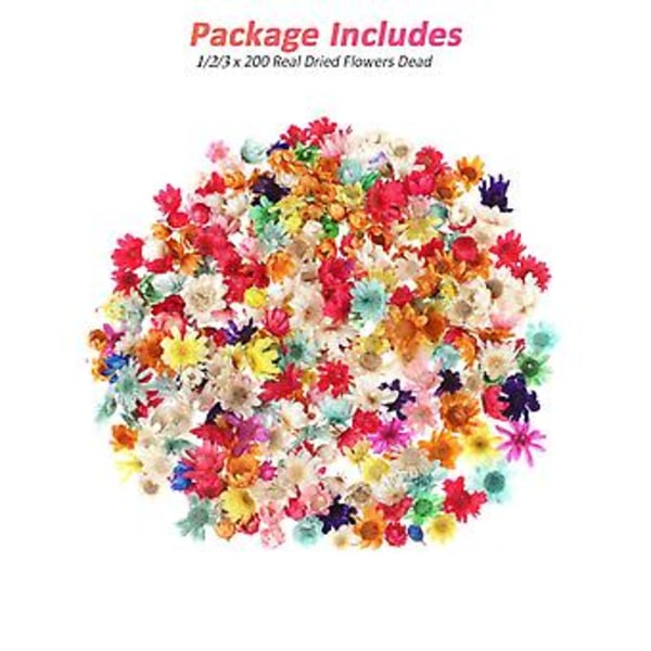 Ægte tørrede blomster til DIY kunsthåndværk epoxy resin lysfremstilling smykker glas kit ( )