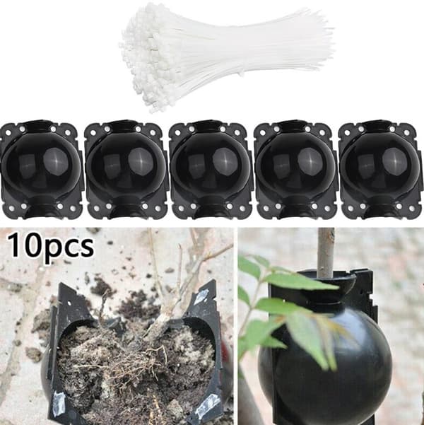 10-pack växtrotande enhet (12 cm) - Högtrycksväxtrotande utrustning - Förökningsboll Grafti