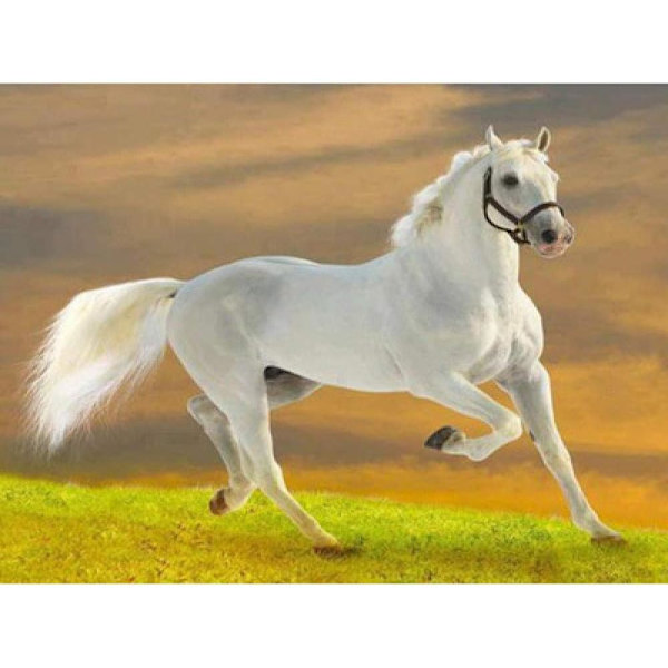 5D Diamantmaleri Hest 30x40cm (Stil 32)