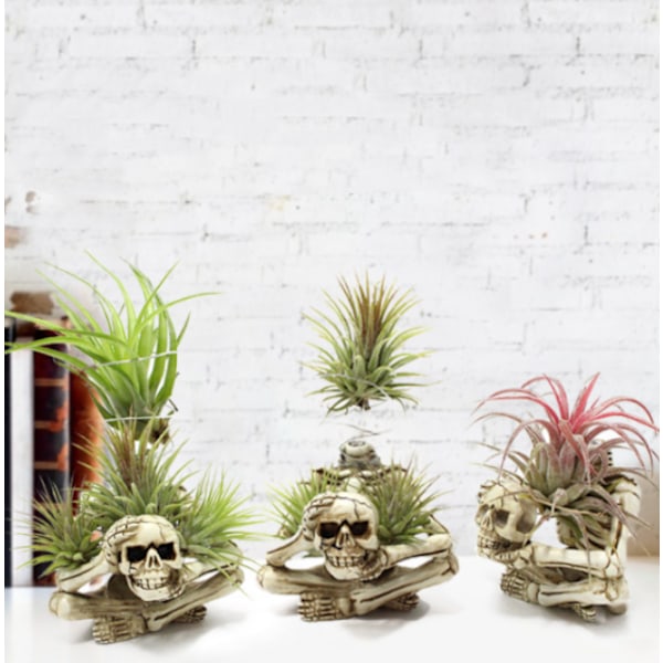 Halloween Skull Pot Resin Cover Skull Gothic Dekoration Skull Mul