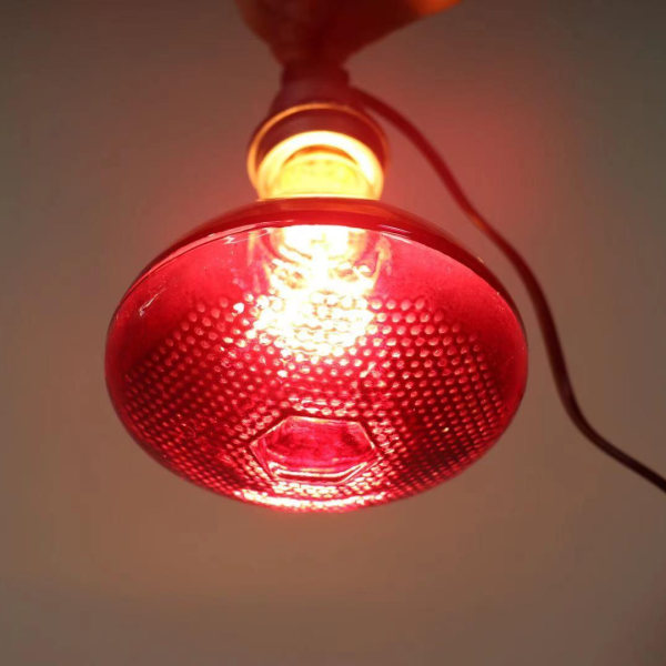 250w kycklinguppvärmningslampa, kycklinguppvärmningslampa, valp kycklinghus H