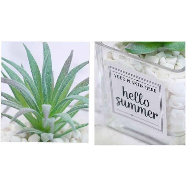 Mini pehmeä lasinen bonsaipuu keinotekoinen mehikasvi ruukkuplantaasi (ananas
