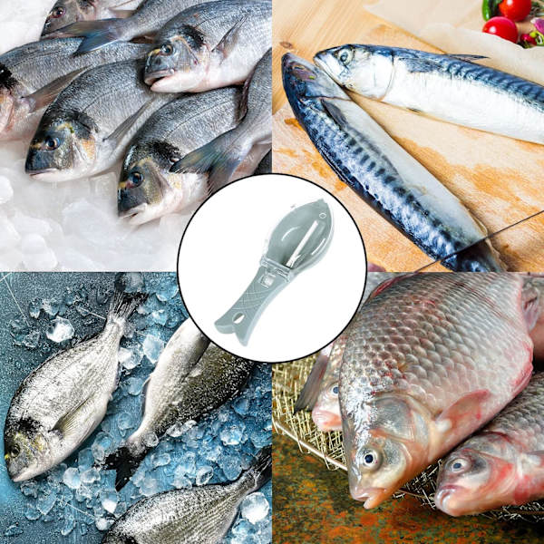 1PC Grön fiskhudsborste, hudskalare med transparent lock, Qu