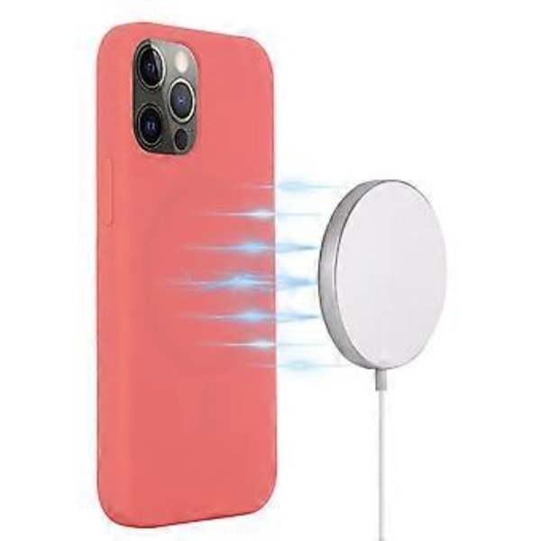 Telefonhus til iPhone 13 Pro 6,1 tommer (Style C)