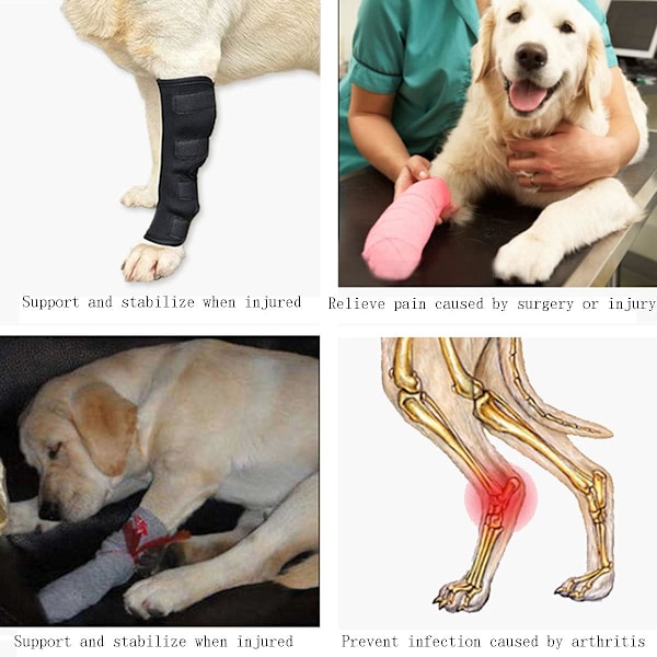 Koiran polvituki, säädettävä lemmikkieläinten polvisuojus, vahva vakaus koiralle
