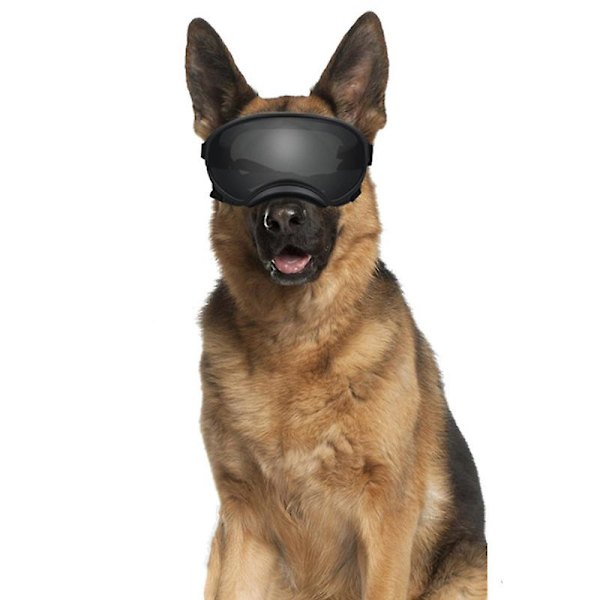 Solbriller til mellemstore til store hunde, UV-beskyttelse, vindbeskyttelse