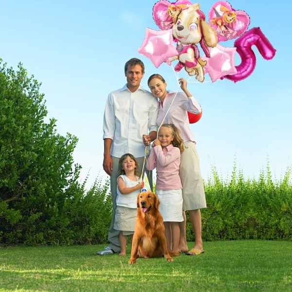 Fødselsdag Ballon Pink Ballon Paw Patrol Ballon Pige Fødselsdag