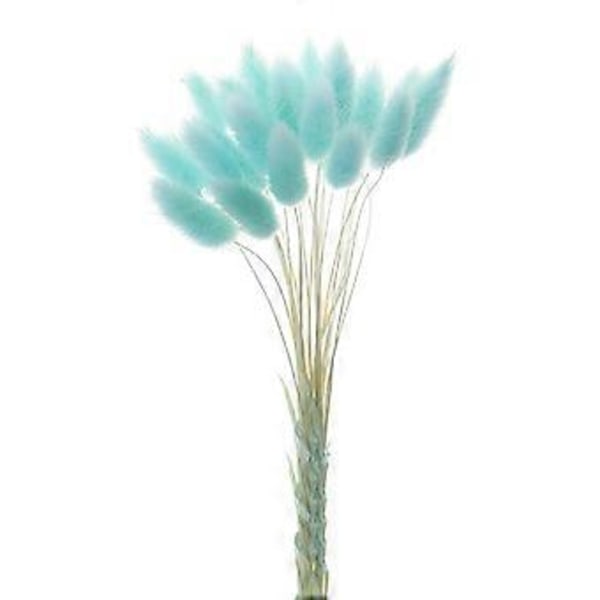 Boho Heminredning Torkade Blommor Arrangemang Naturligt Pampasgräs, Vass, (blå)
