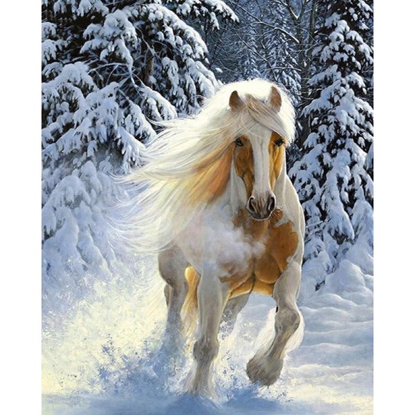30 x 40 cm ,cheval blanc neige Diamond painting Broderie Diaman