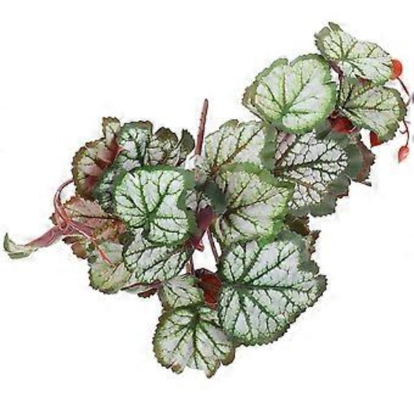 Hængende Blad Ornament Kunstig Plante Vedhæng Reptil Tank Skjulested Firben Terrarium Dekoration