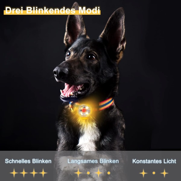 Säkerhets LED-blixtljus för hundar (orange färg), katter - USB-laddningsbar LED-hundlampa, 3 blinkande