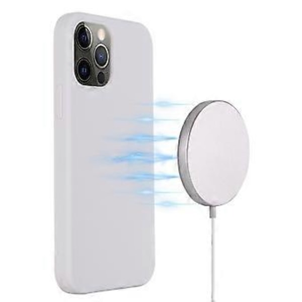 Telefonhus til iPhone 13 Pro 6,1 tommer (Style B)