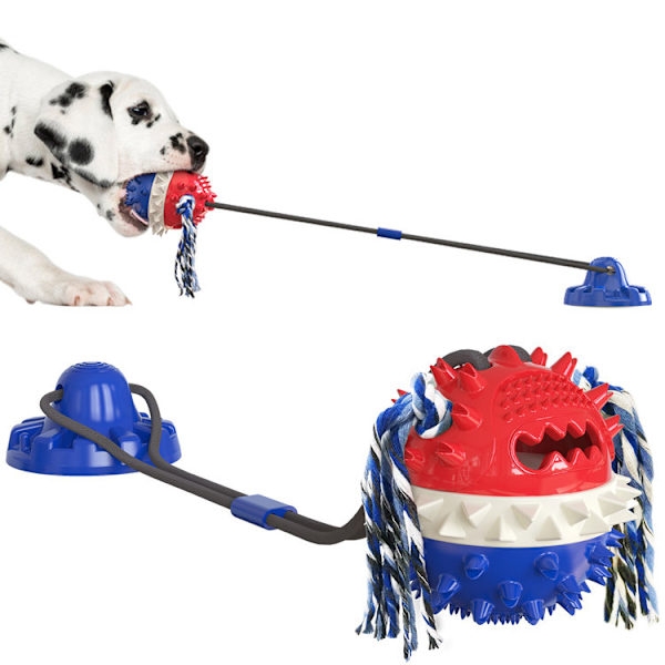 (Blå) Hundtuggleksaker, Hund Sugkopp Leksak, Multifunktion Husdjur Molar