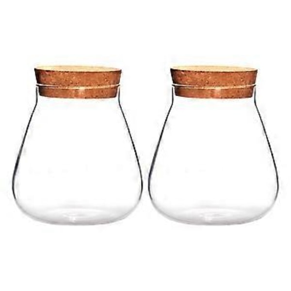 2 st Kreativa Mikro Landskapsvaser Klara Bubbelskålar Växtnäringsflaskor