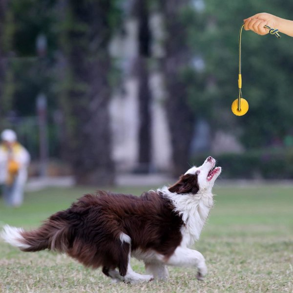 Boll för hund med rep, träningsboll för hund i gummi