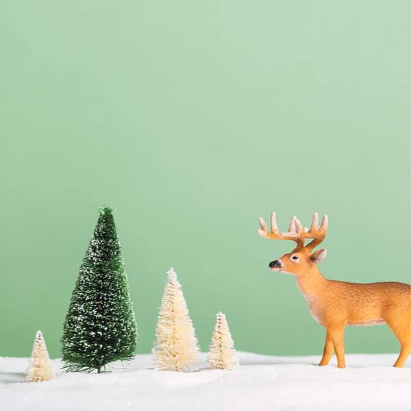 9 st miniatyrjulgranar, miniatyrjulgran, mini