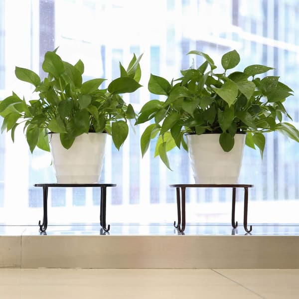 Växtstativ, Set om 4 Retro Stil Vinmönster Blomkruka Stativ