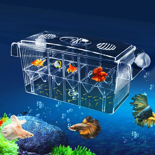 Akvarium avlsboks, store kapasitet avls akvarier, akryl fisk avlsboks, avl inkuba