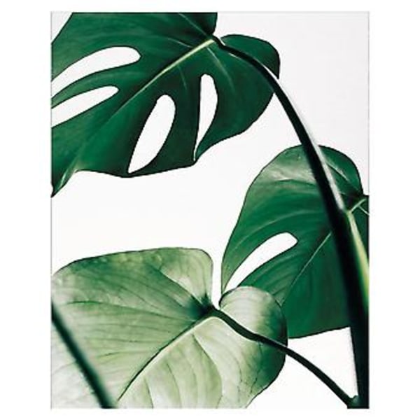 Wekity Ordkonst och Växtbladskomposition av Konstdukstryck Poster, Enkel Modekonst Ritning Dekoration för Hem Vardagsrum Sovrum Kontor (Set om 3 Oinramade)