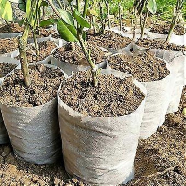 100 stk. - Nedbrydelig korrosionsbestandig plantepose af non-woven stof Qinhai (14 cm x 18 cm)