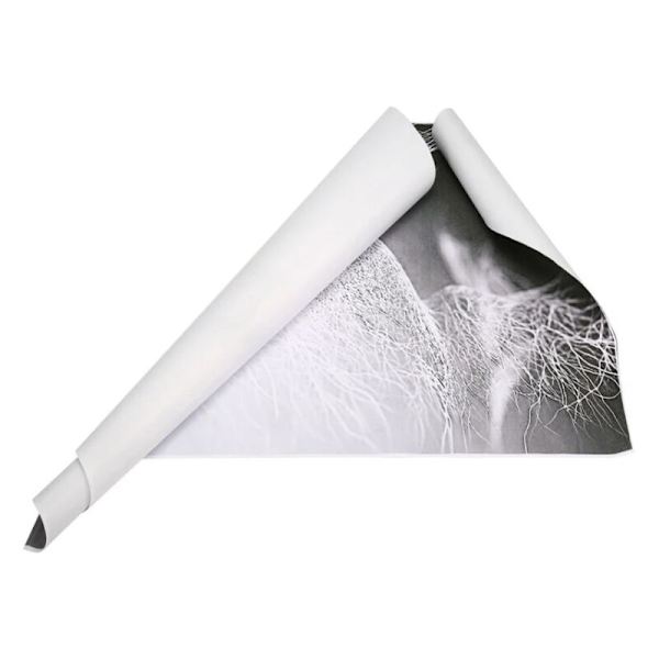 100*60cm Lærred Maleri Væg Dekoration csparkv-eu