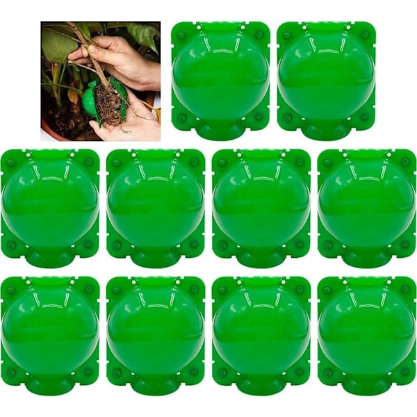 10 st Plant Rooting Device Ball Plant Grafting Cutting Rooting De