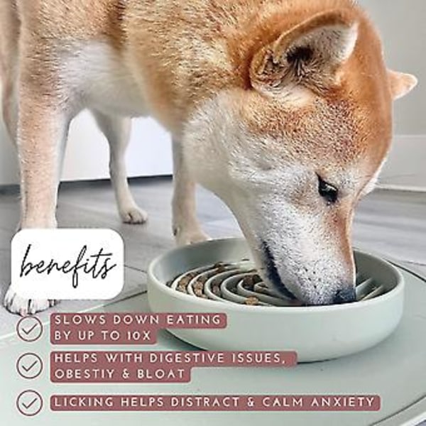 DLM Skål Silikon Langsom Foder til Hunde & Hvalpe Langsom Spisning Moderne Læk Mat Design Reducerer Slugning Opvaskemaskine Passer til Alle Racer Grøn (B)