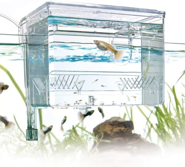 Fødselsrom for akvarium størrelse L