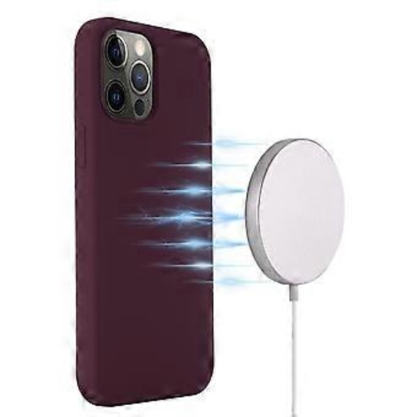 Telefonhus til iPhone 13 Pro 6,1 tommer (Style F)