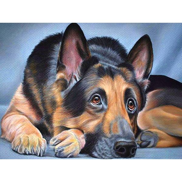 30 x 40 cm, Berger allemand Diamond Painting Broderie Diamant P