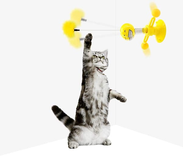 Fjærleker for katter, interaktive katteleker, leketøy