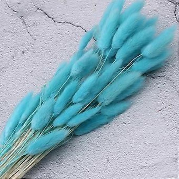 Boho Heminredning Torkade Blommor Arrangemang Naturligt Pampasgräs, Vass, (blå)