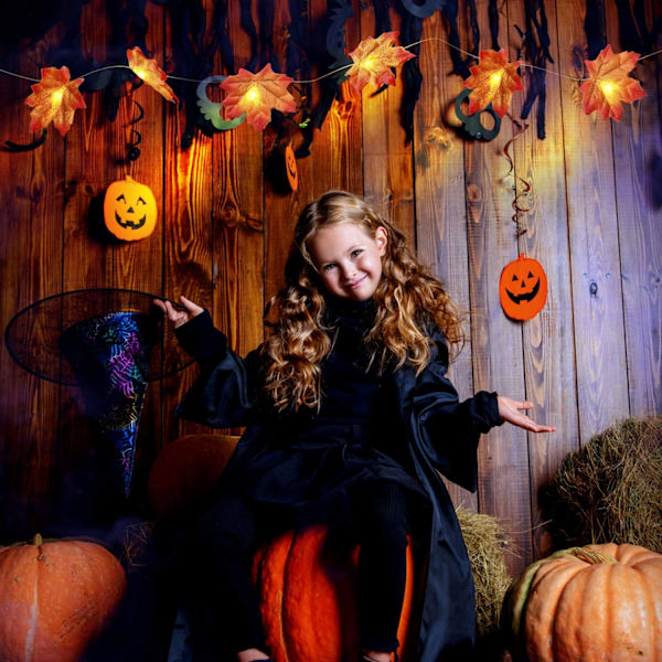 1PC Lönnlöv ljusslinga 3M 20 LED för jul Halloween,