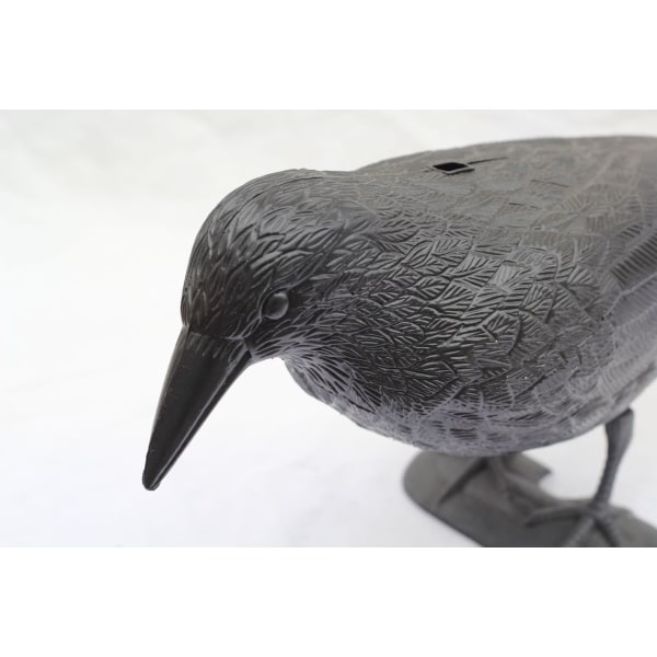 Plastic Black Crow, Bird Repellent Solution, Scare Pigeons og Bi