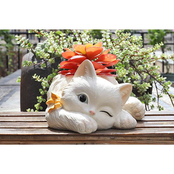 Katt Blomsterpotter, Søte Dyreformede Tegneserie Blomsterpotter, Sukkulent