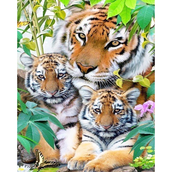 30x40 cm -11 5D DIY-timanttimaalaus, Animals Diam -sarja
