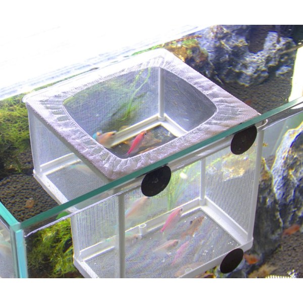 Akvariefisk Isolasjonsboks, 26 * 15 * 15,5 cm, Stor Størrelse Klekkeri Nett, Fiskeinkubator Akvariefisk