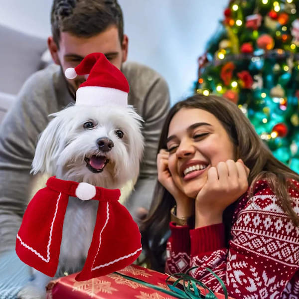 Husdjurs julhatt, husdjurs julhalsduk, katt hund juldräkt, f