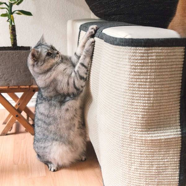 Kattklösbräda soffskydd - Naturlig sisal kattklösbräda möbler