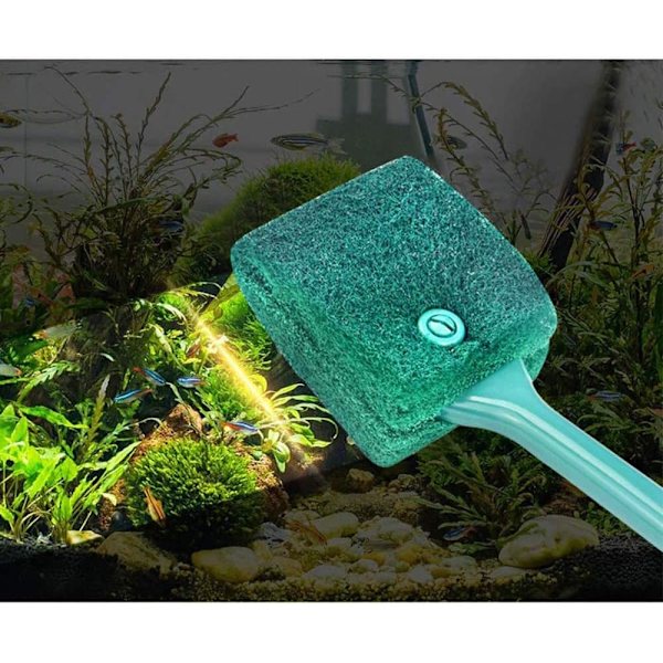 Akvarieglas skraber, Akvarie skraber, Akvarieglas rengøring