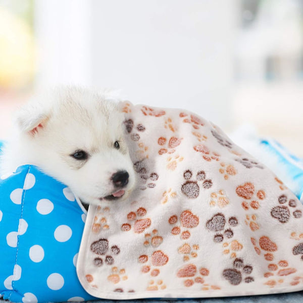 4 stk. poteaftryk fleece tæppe til små, mellemstore og store hunde og katte