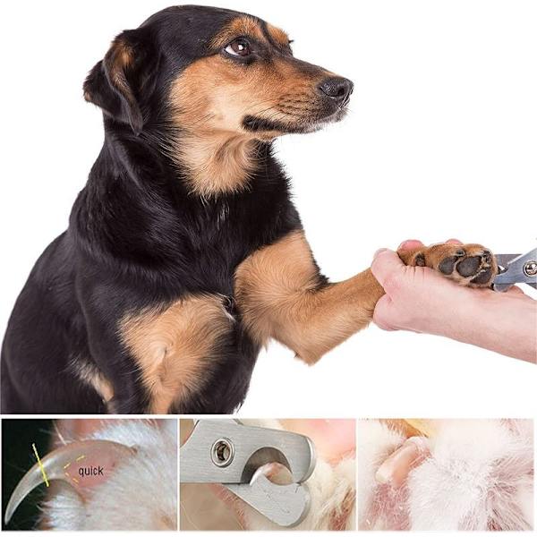 Rouge Ciseaux À Ongles Pour Chien Et Chat, Coupe-Ongles Pour Ch