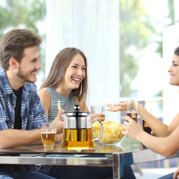 Lasiteekannu irrotettavalla infuusorilla, 750 ml teekannun vedenkeitin läpinäkyvässä ja klassisessa boorisilikaatissa