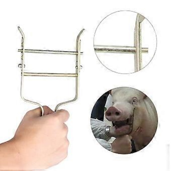 Dyr Kveg Ku Sau Gris Munnåpner Veterinærmedisin Irrigasjon Dilator Mater Verktøy