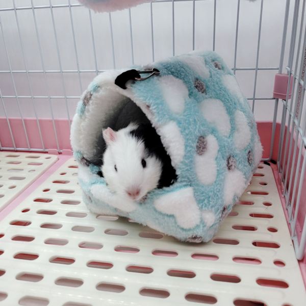Sängkläder Plysch Mus Liten Hamster Hus Hängmatta Leksak Koja Guinea Pi