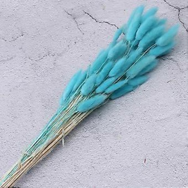 Boho Heminredning Torkade Blommor Arrangemang Naturligt Pampasgräs, Vass, (blå)