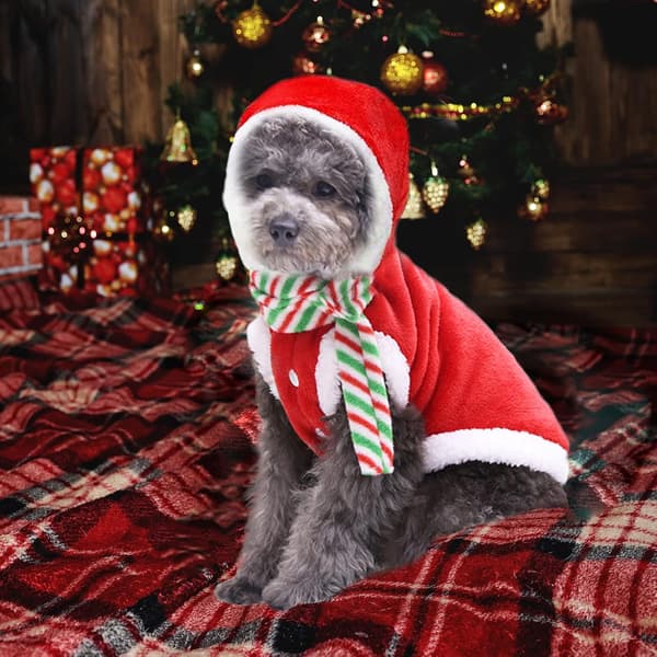 (S) Hund Julekostumer Kat Julekostume Hund Juletrøjer