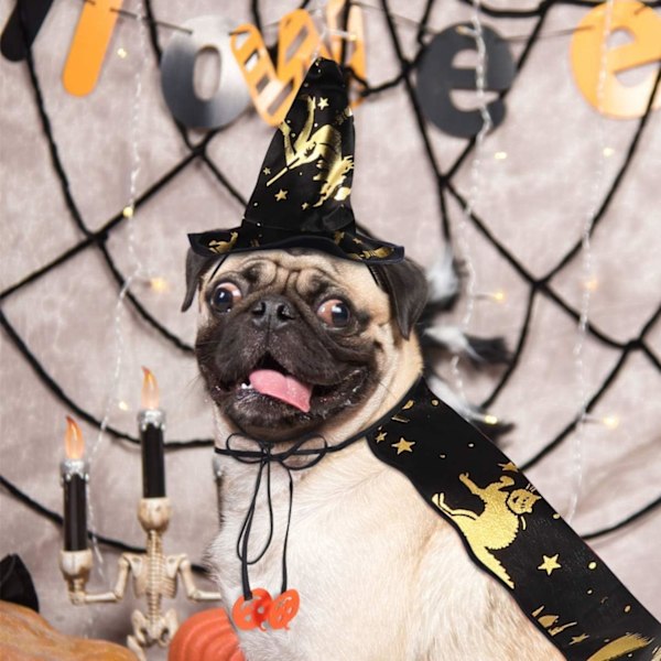 2 kpl Kissan ja Koiran Vampyyriviitta ja Noitamyssy Halloween-juhliin