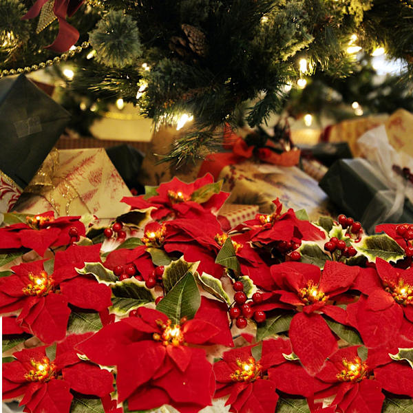 Batteridrivna julstjärneblommor ljusslinga vattentät koppar