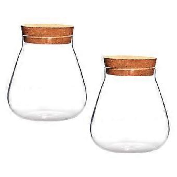 2 st Kreativa Mikro Landskapsvaser Klara Bubbelskålar Växtnäringsflaskor